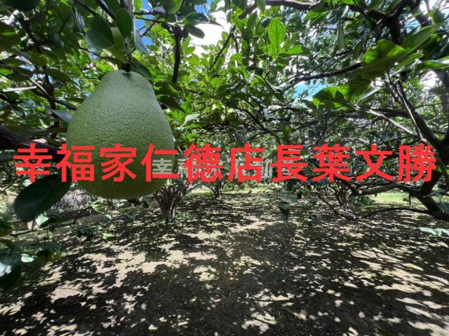 台南麻豆農地-14