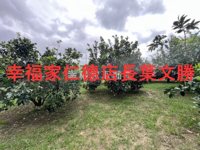 台南麻豆農地-2