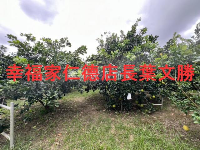 台南麻豆農地-4