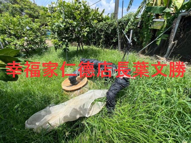 台南麻豆農地-7