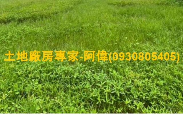 高雄大寮農地-0