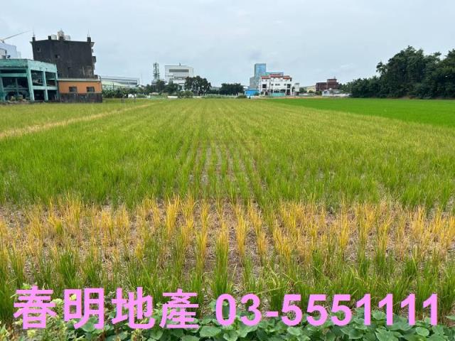 新竹竹北農地-0