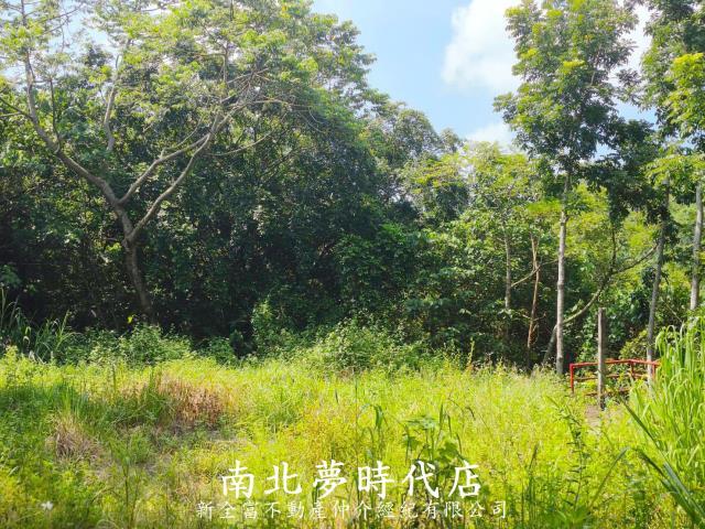 台南龍崎農地-5