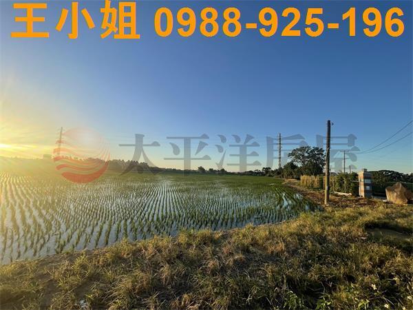 桃園平鎮農地-11