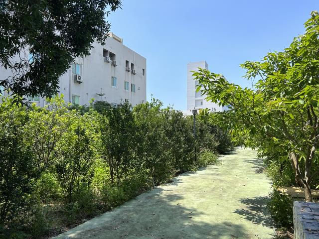 苗栗竹南工業地-0