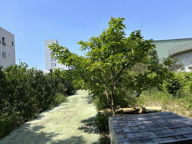 苗栗竹南工業地-1