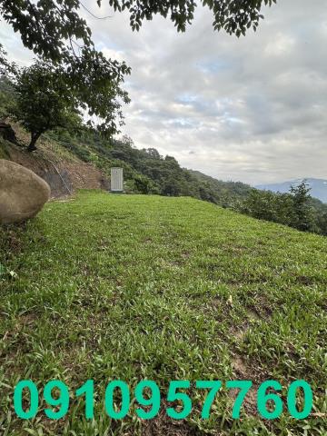 新竹芎林農地-10