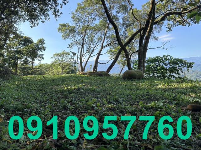 新竹芎林農地-1