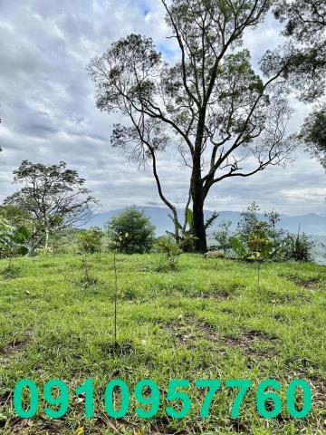 新竹芎林農地-4