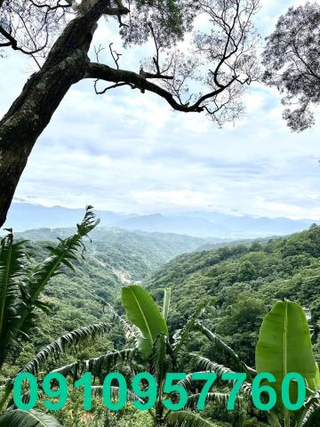 新竹芎林農地-6