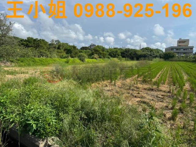 新屋農地-6