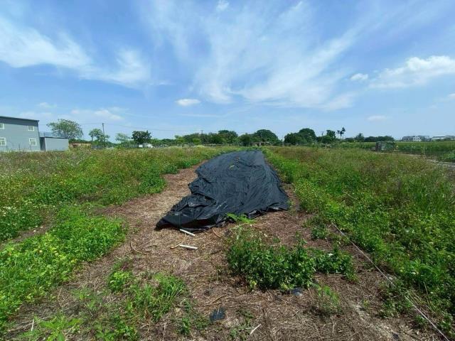 西區農地-6