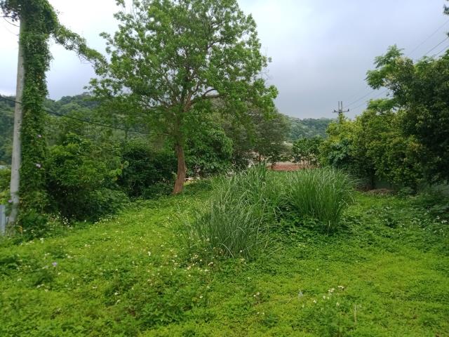 桃園大溪工業地-0