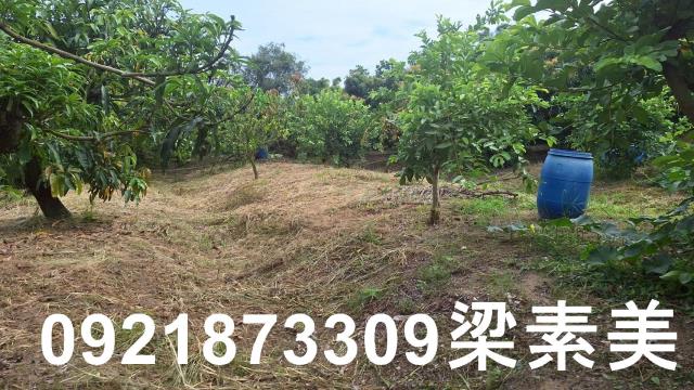 台南官田農地-7