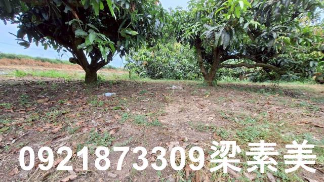 台南官田農地-8
