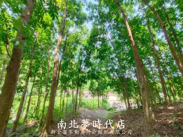 龍崎農地-5