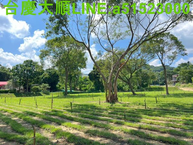 新竹農地-9