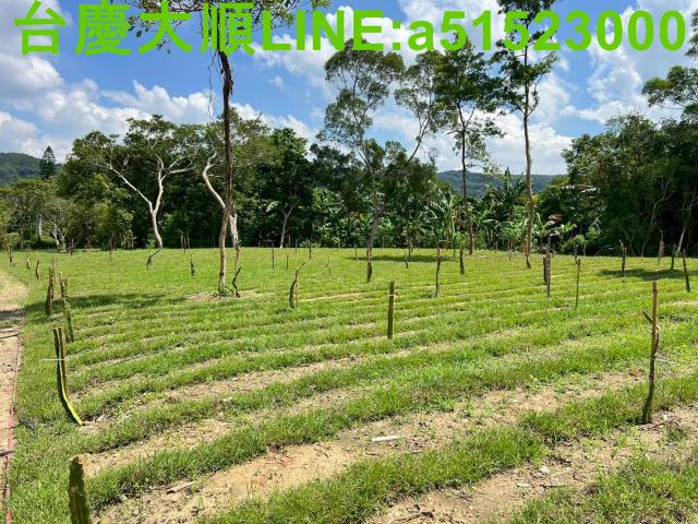 新竹農地-1