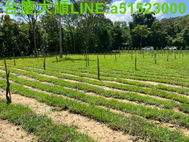 新竹農地-2
