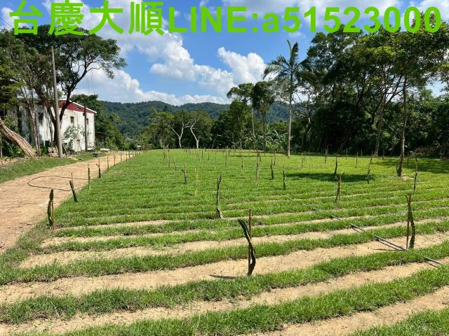 新竹農地-7