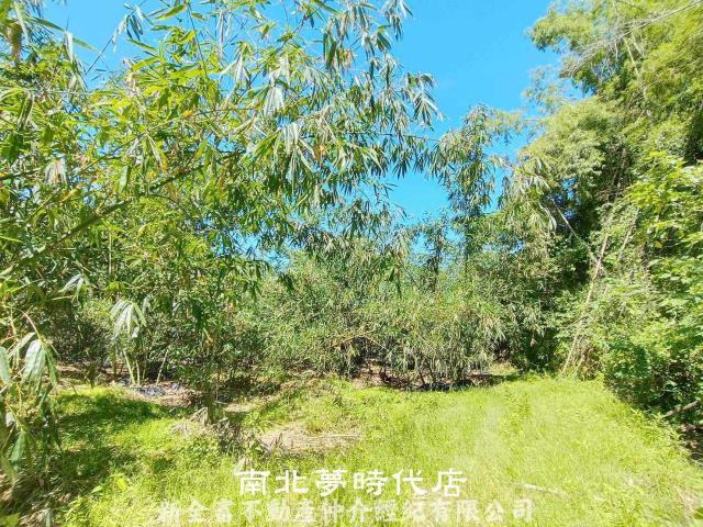 台南農地-12