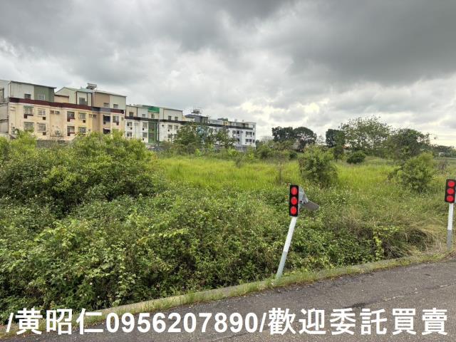 台南農地-9
