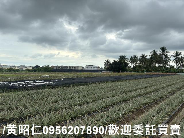 台南農地-0