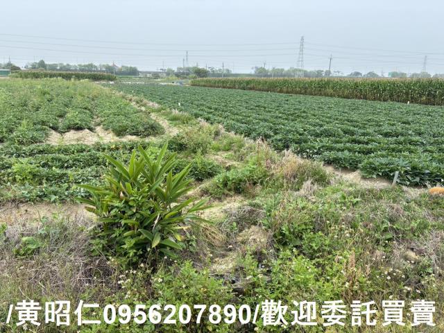 台南農地-9