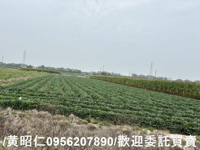 台南農地-11