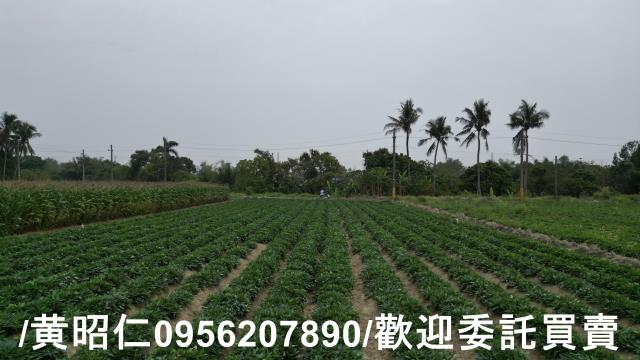 台南農地-0