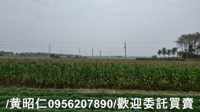 台南農地-1