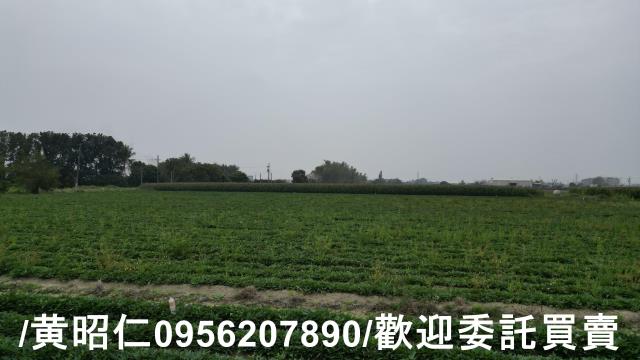 台南農地-2