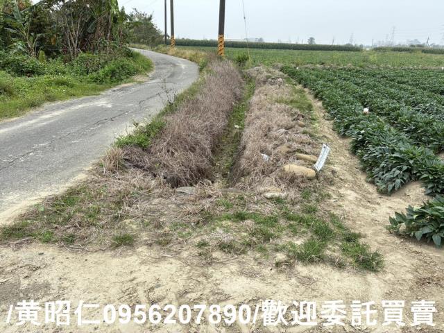 台南農地-5