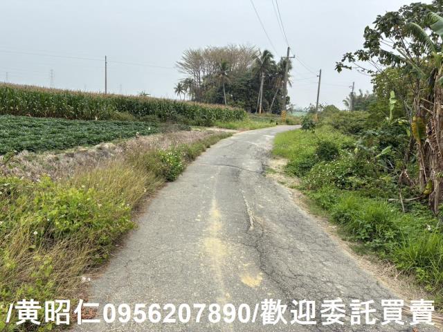 台南農地-6