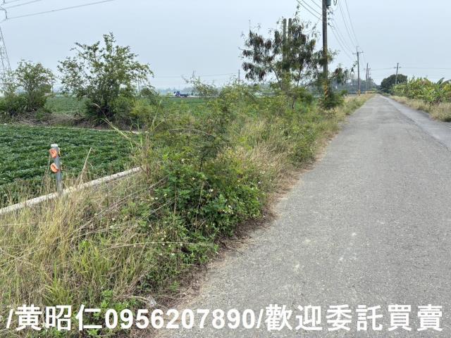 台南農地-8