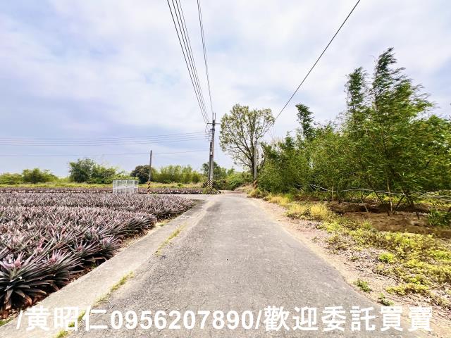 台南農地-2