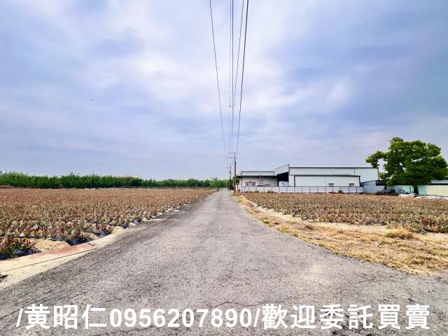 台南農地-5