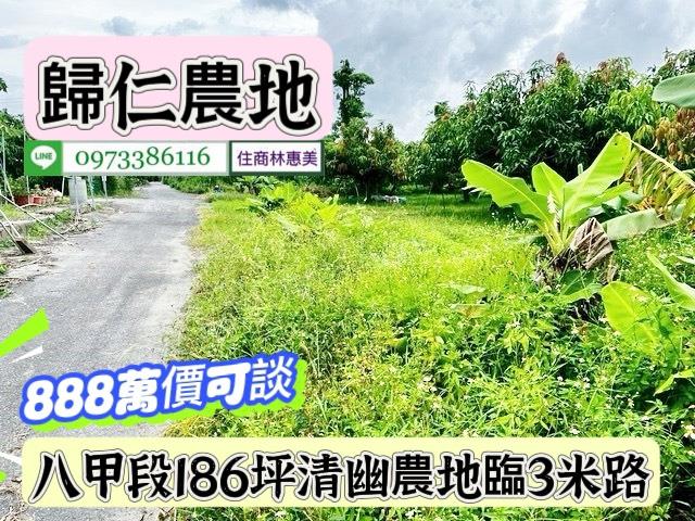 台南農地-3