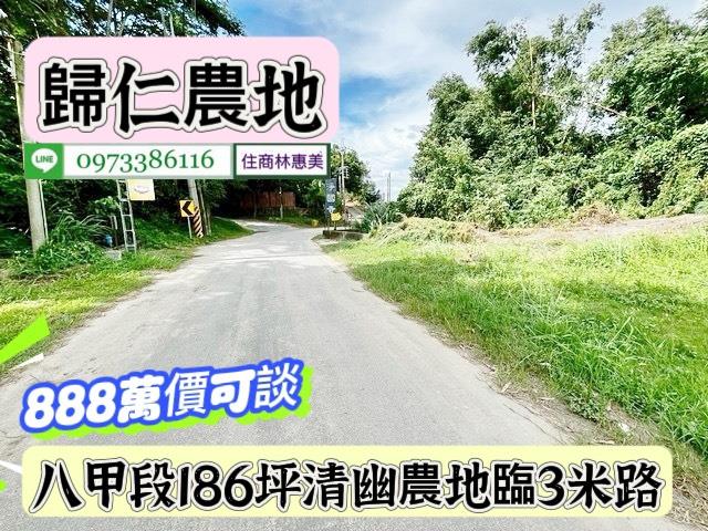 台南農地-5