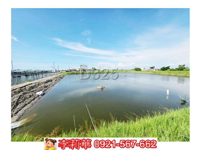 台南農地-6