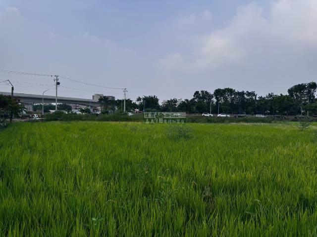 嘉義西區農地-11