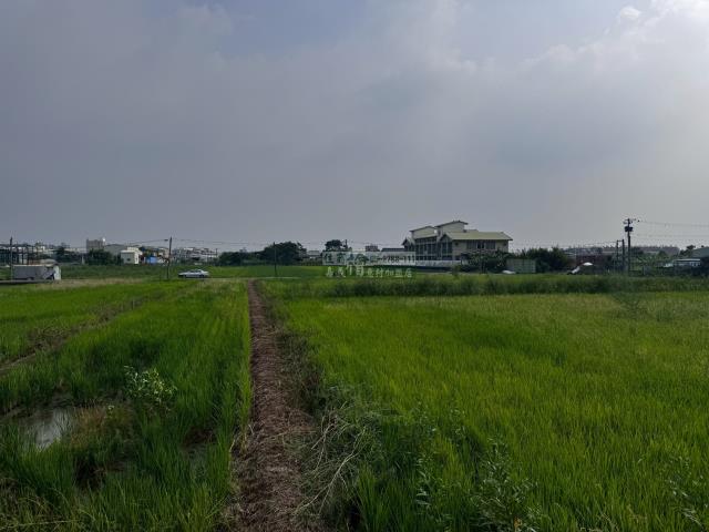 嘉義西區農地-12