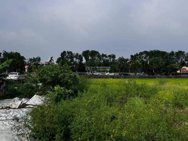 嘉義西區農地-1
