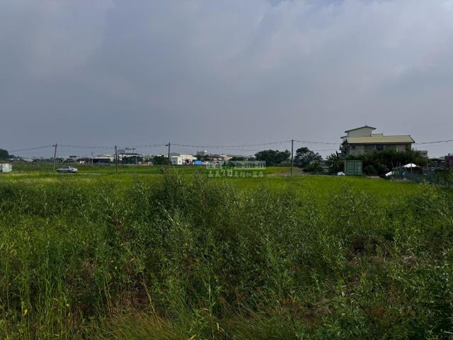 嘉義西區農地-2