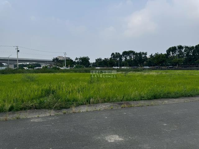 嘉義西區農地-5