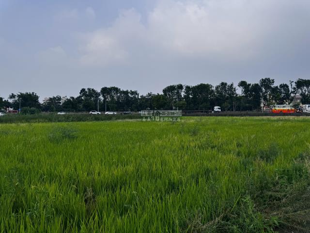 嘉義西區農地-6