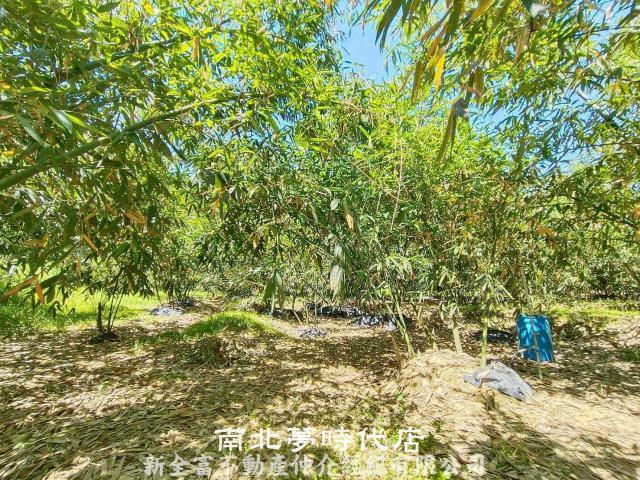 左鎮農地-10