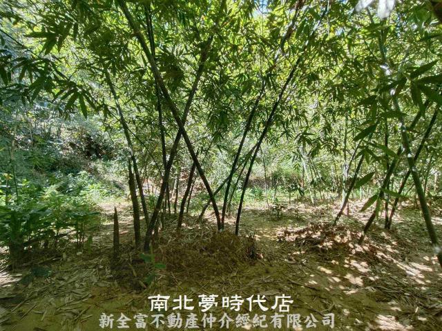左鎮農地-11