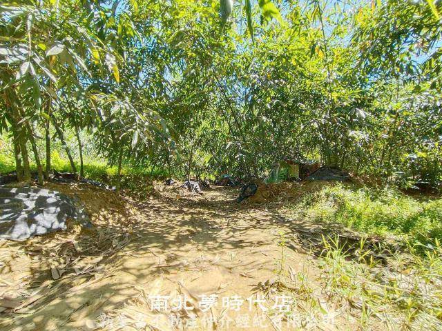 左鎮農地-4