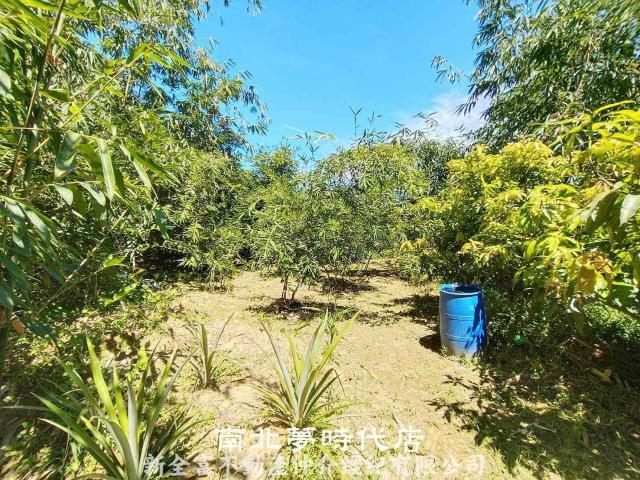 左鎮農地-8